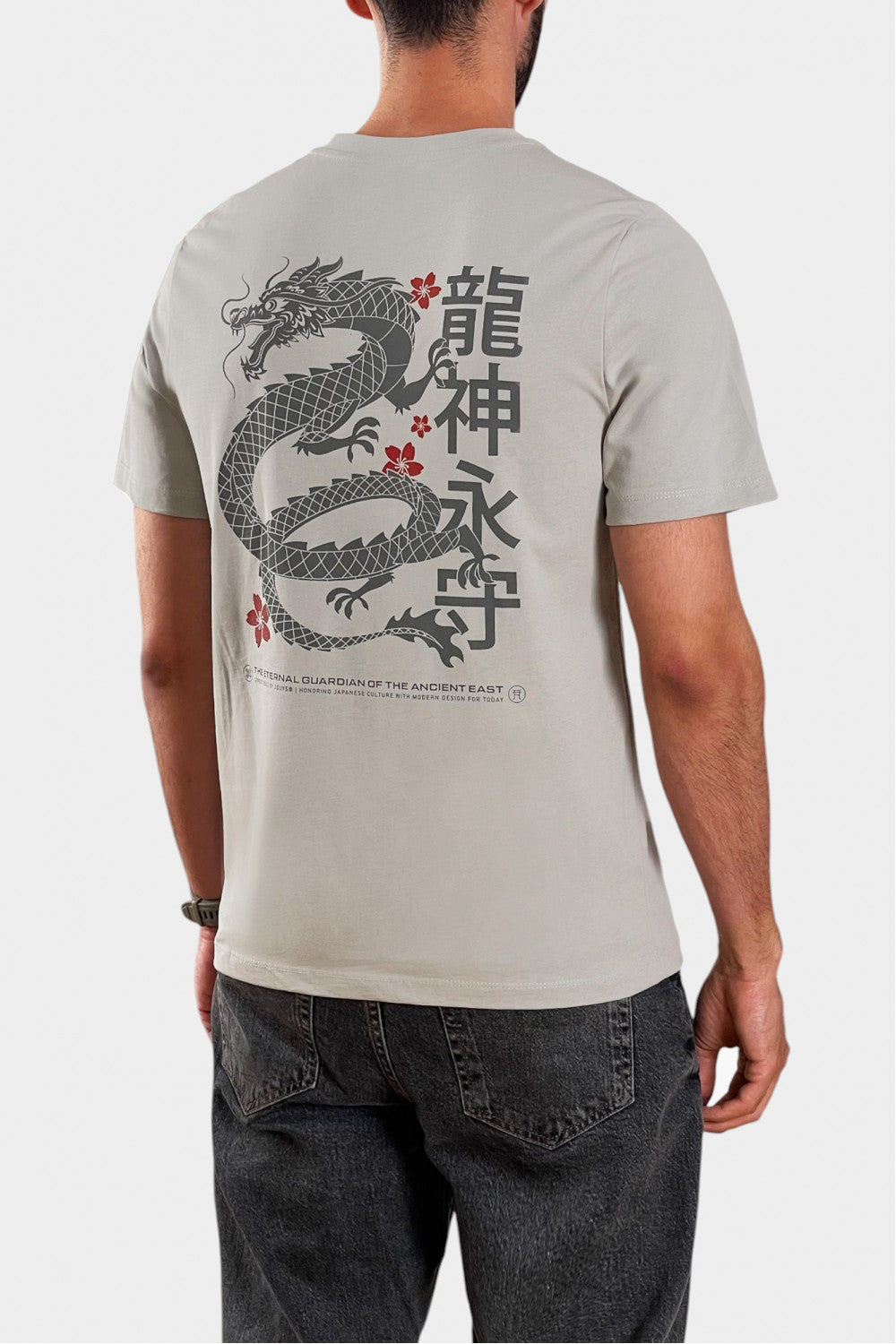 ΑΝΔΡΙΚΟ T-SHIRT DRAGON